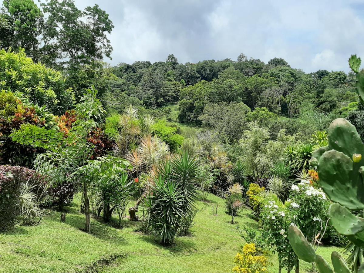 Marita'S Bed And Breakfast Nuevo Arenal Buitenkant foto
