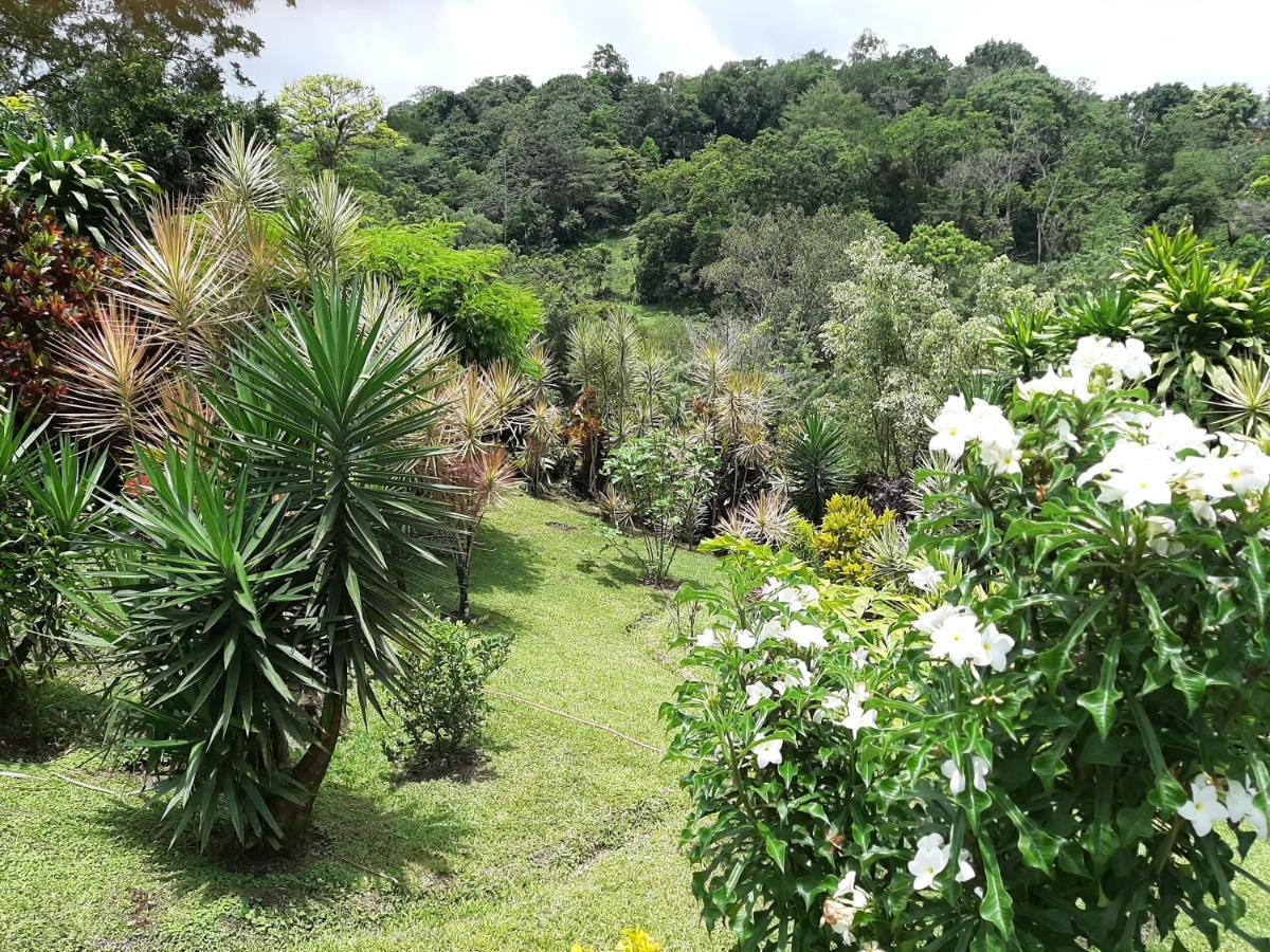 Marita'S Bed And Breakfast Nuevo Arenal Buitenkant foto