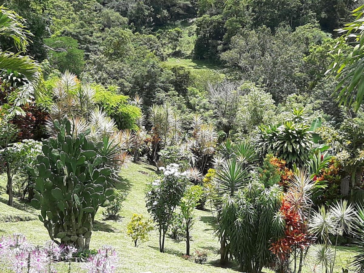 Marita'S Bed And Breakfast Nuevo Arenal Buitenkant foto