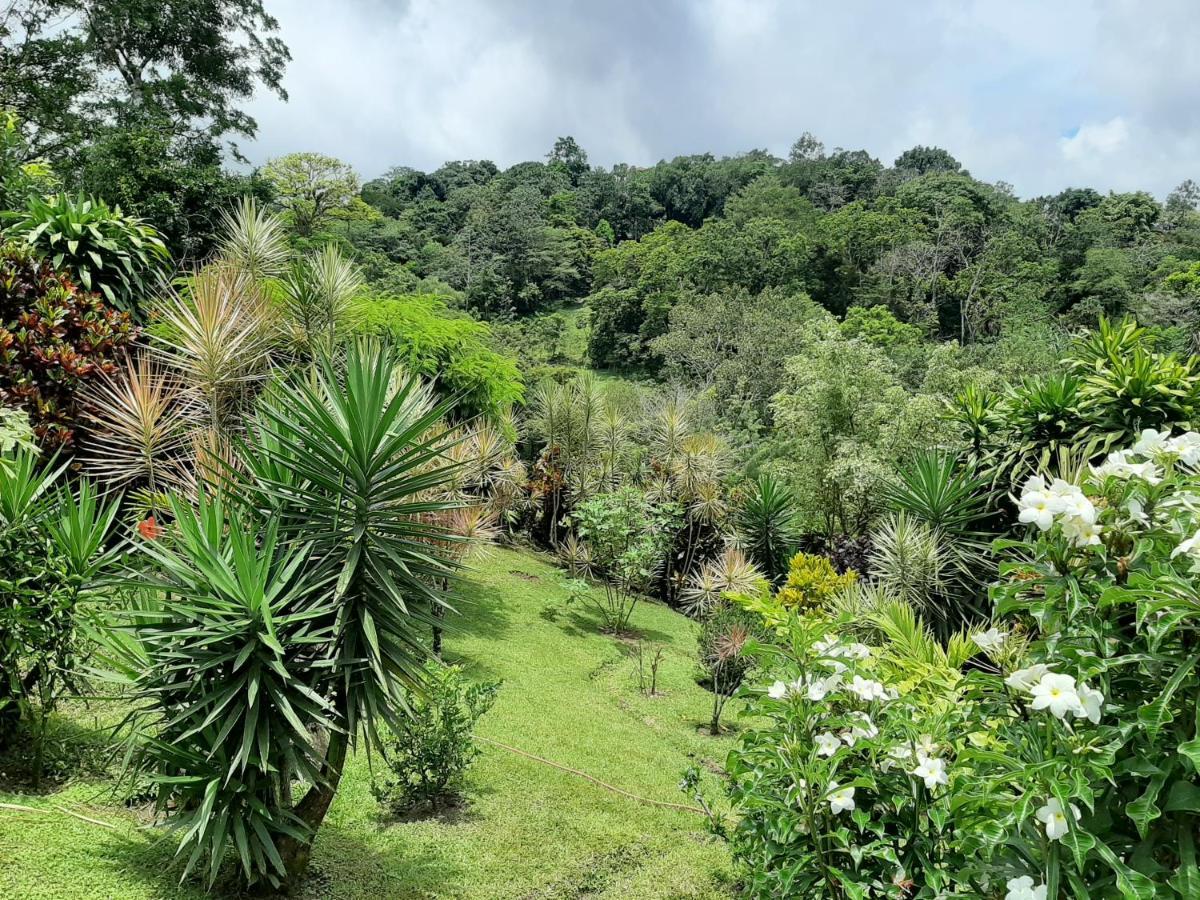 Marita'S Bed And Breakfast Nuevo Arenal Buitenkant foto