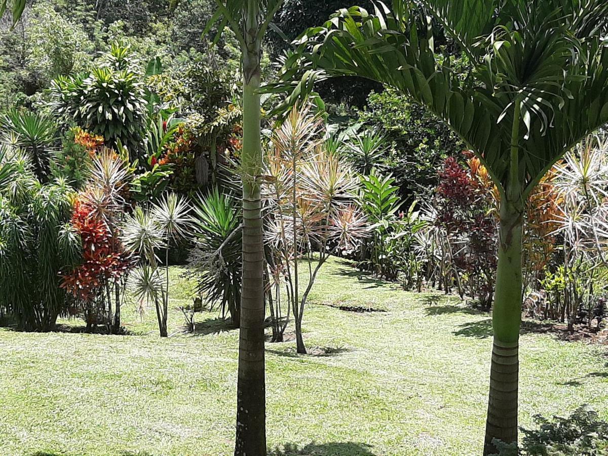 Marita'S Bed And Breakfast Nuevo Arenal Buitenkant foto