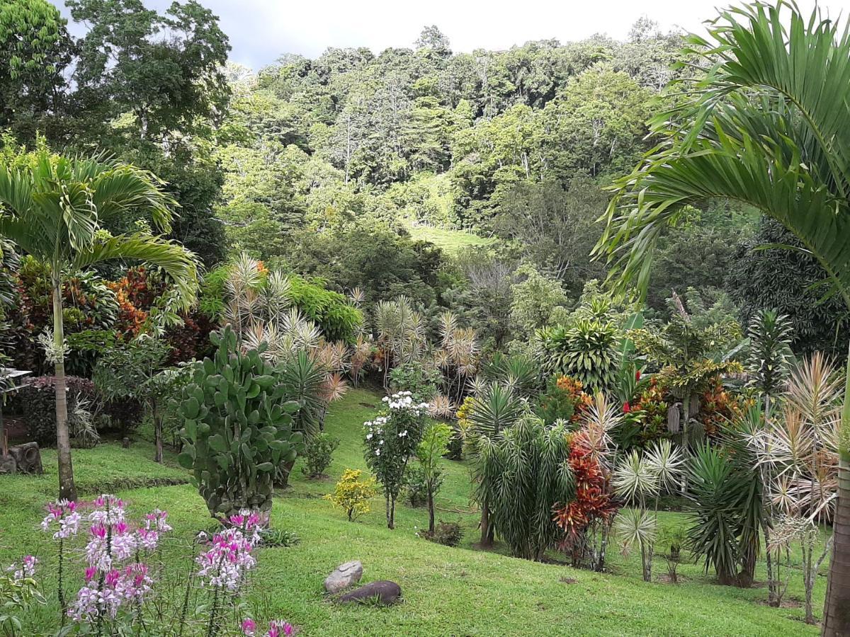 Marita'S Bed And Breakfast Nuevo Arenal Buitenkant foto