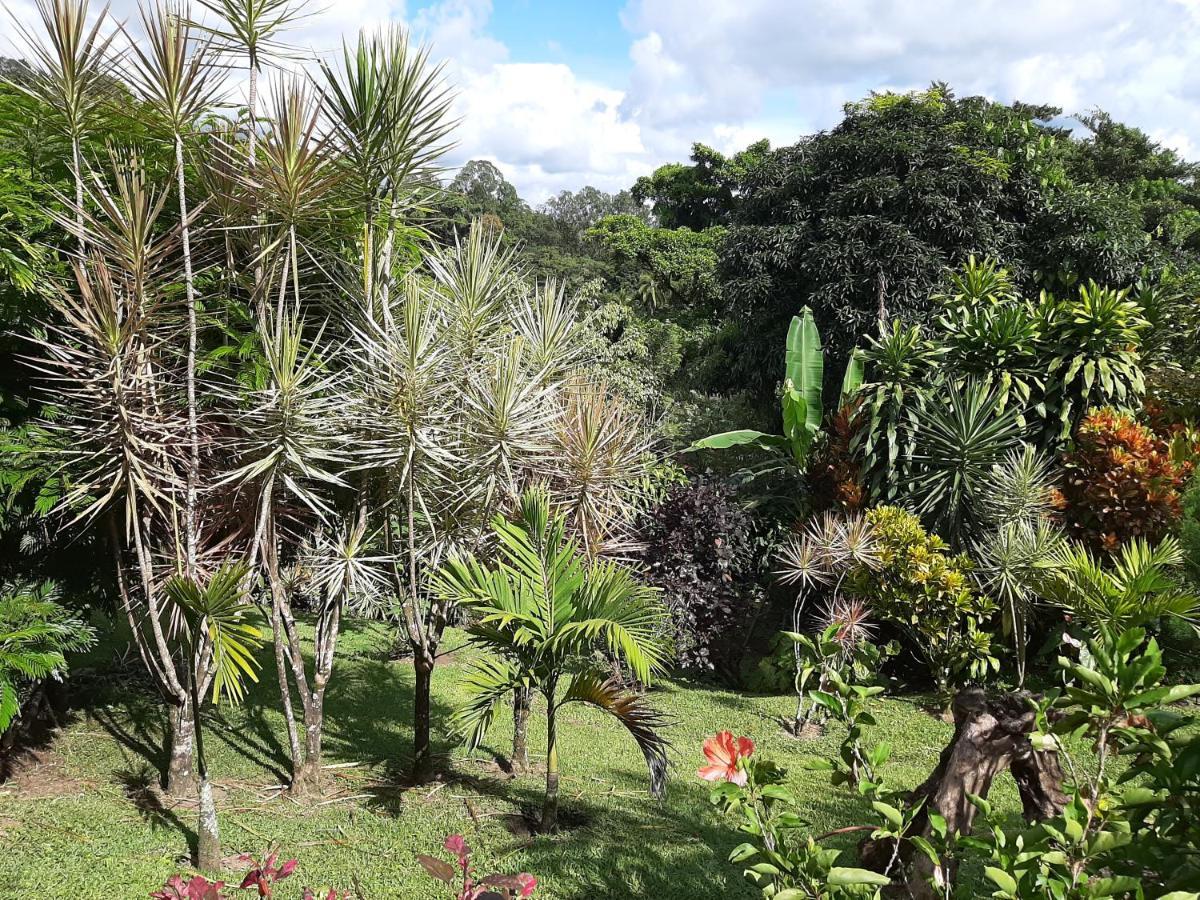 Marita'S Bed And Breakfast Nuevo Arenal Buitenkant foto
